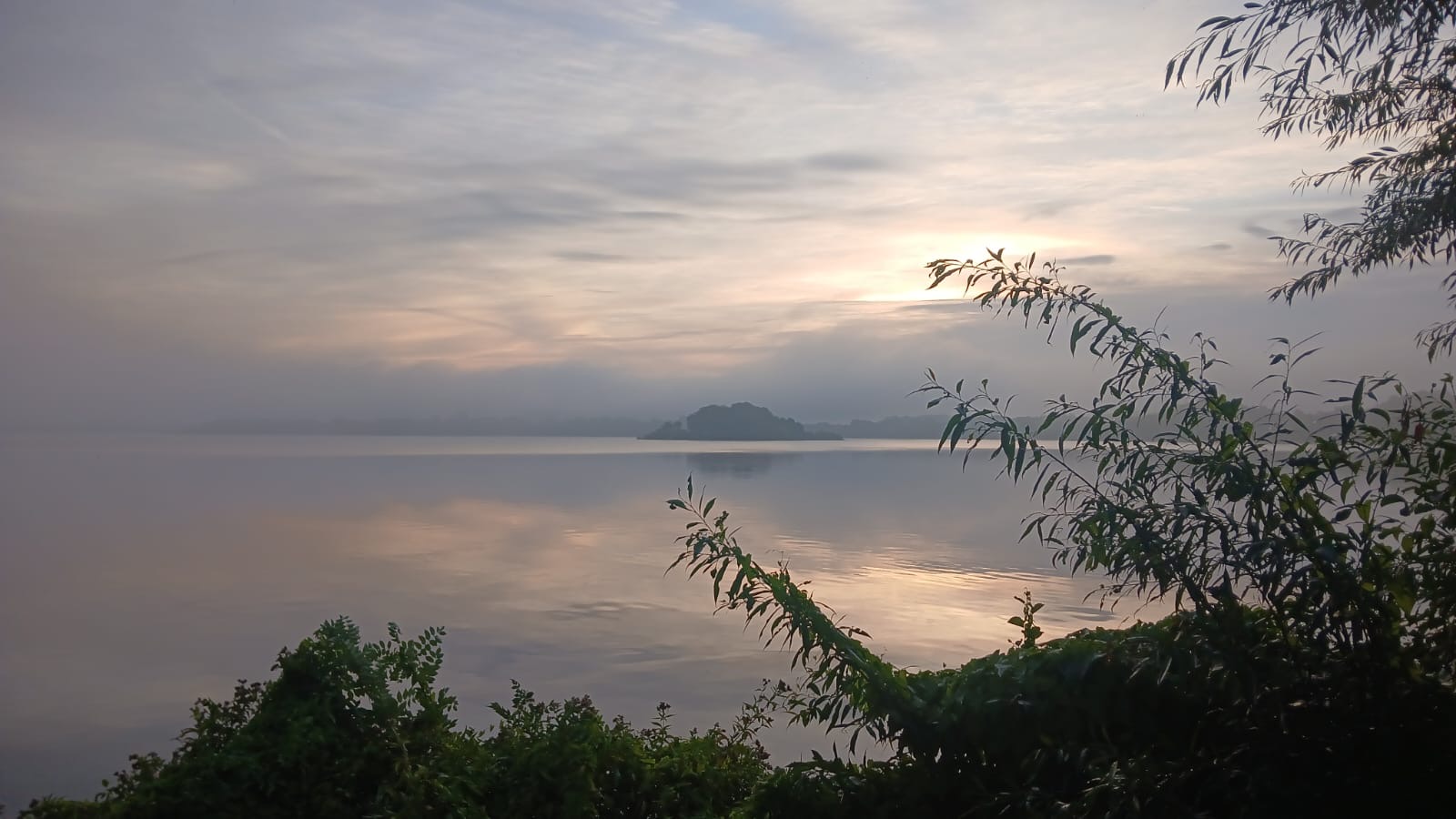 Insel Möwenburg im Nebel